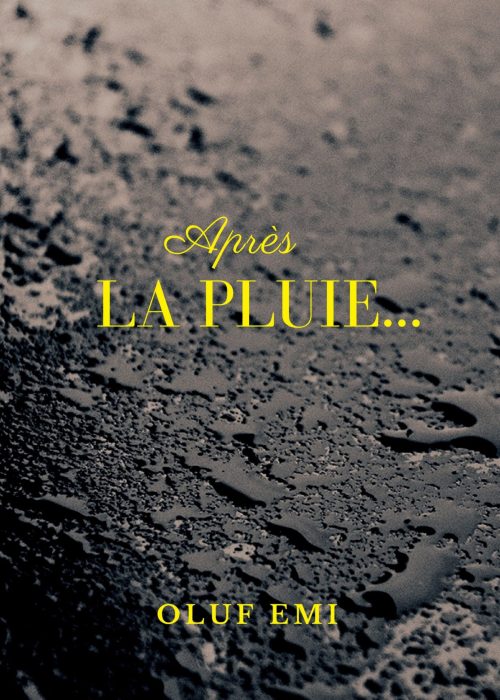 olufemi-apres-la-pluie-couverture olufemi-apres-la-pluie-couverture